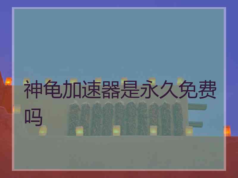 神龟加速器是永久免费吗