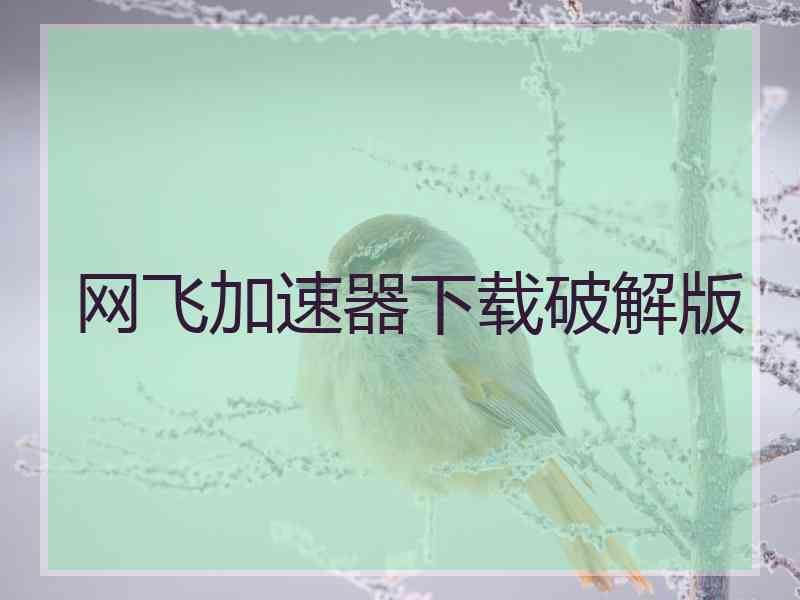 网飞加速器下载破解版