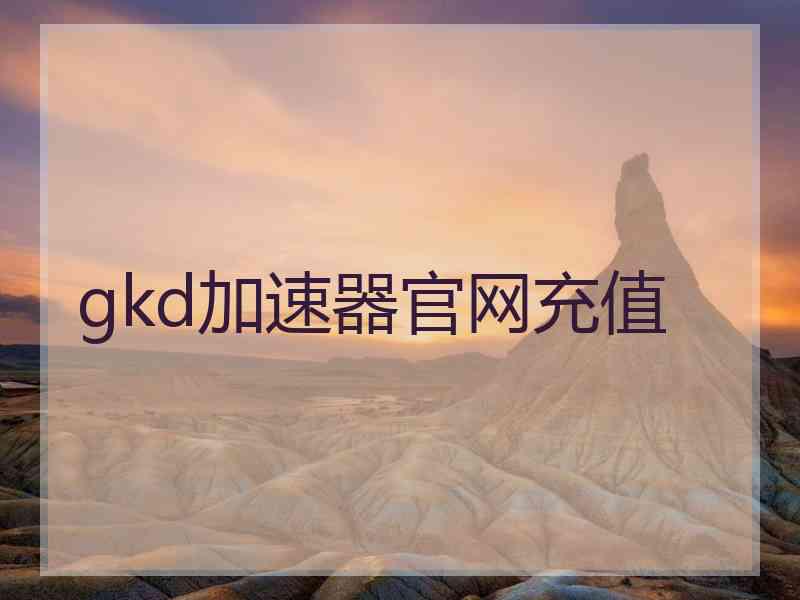 gkd加速器官网充值