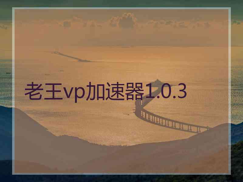 老王vp加速器1.0.3