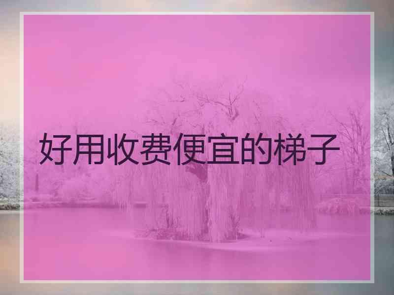 好用收费便宜的梯子