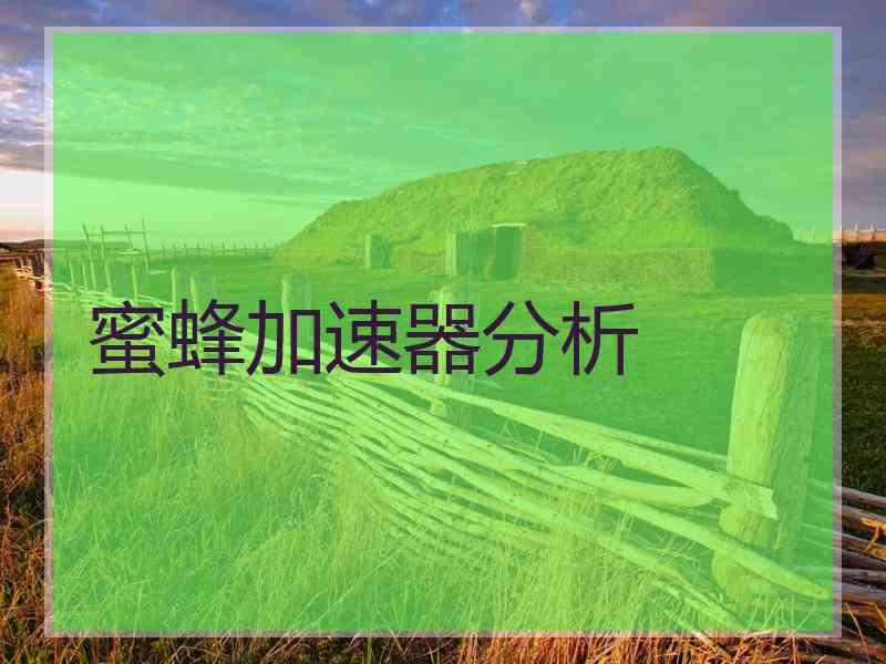 蜜蜂加速器分析