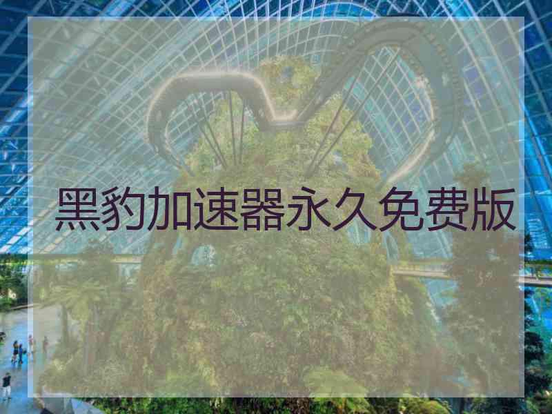 黑豹加速器永久免费版