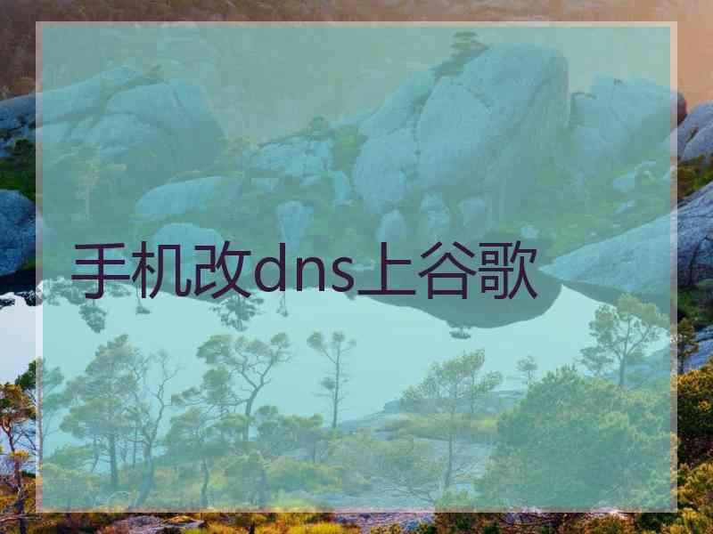 手机改dns上谷歌