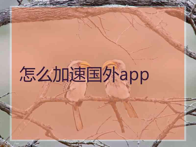 怎么加速国外app