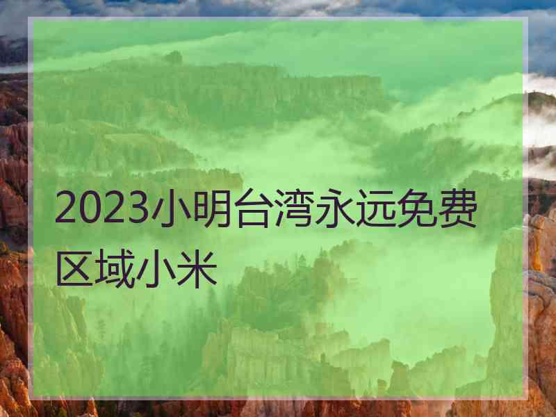 2023小明台湾永远免费区域小米
