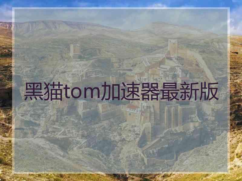 黑猫tom加速器最新版