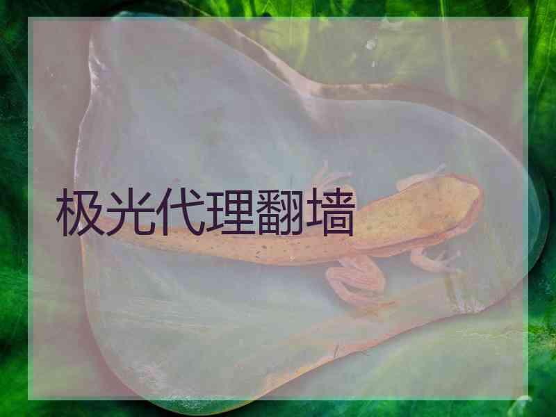 极光代理翻墙