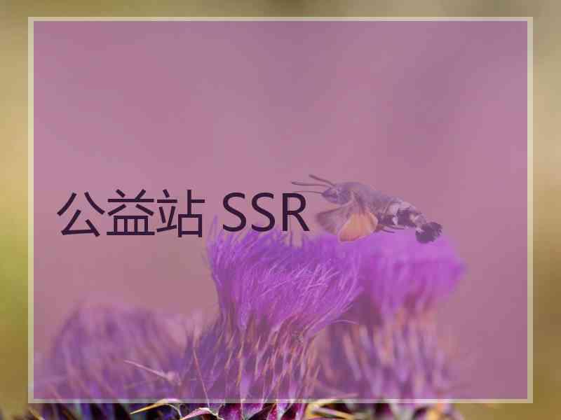 公益站 SSR