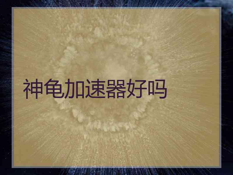 神龟加速器好吗