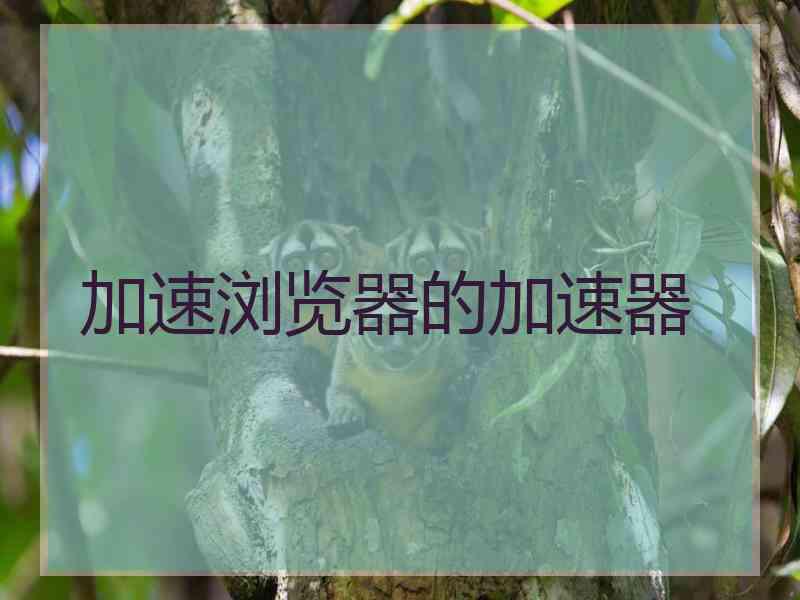 加速浏览器的加速器