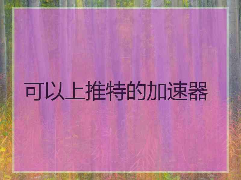 可以上推特的加速器