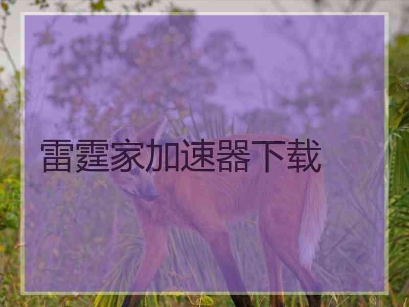雷霆家加速器下载