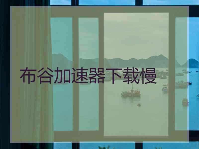 布谷加速器下载慢