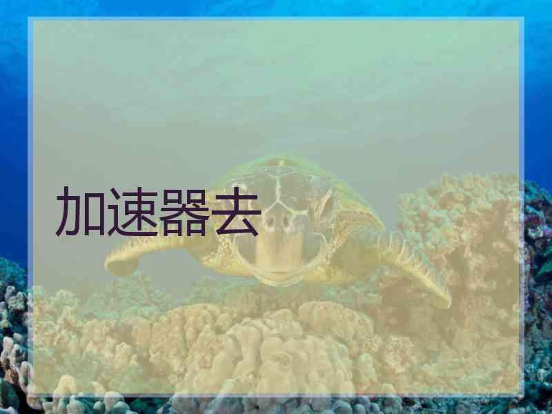 加速器去