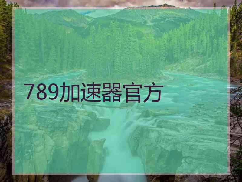 789加速器官方