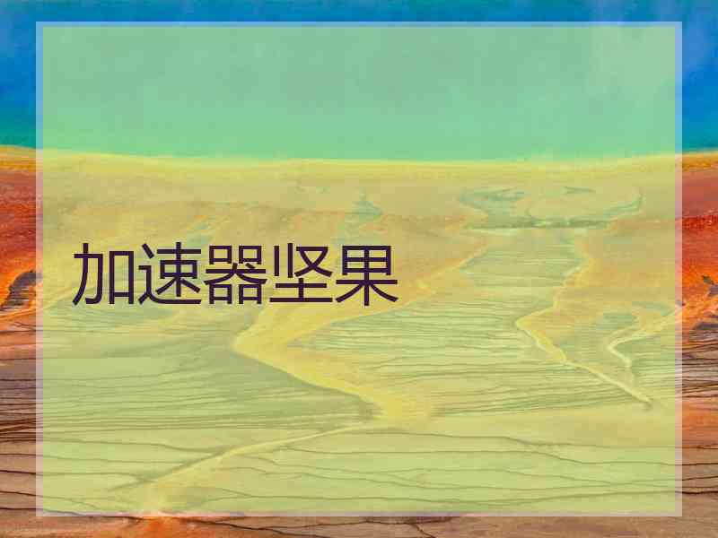 加速器坚果