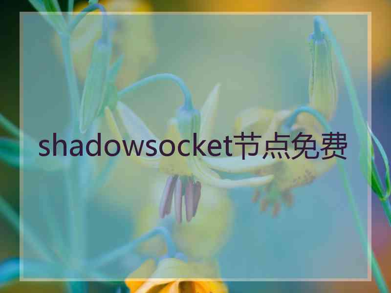 shadowsocket节点免费
