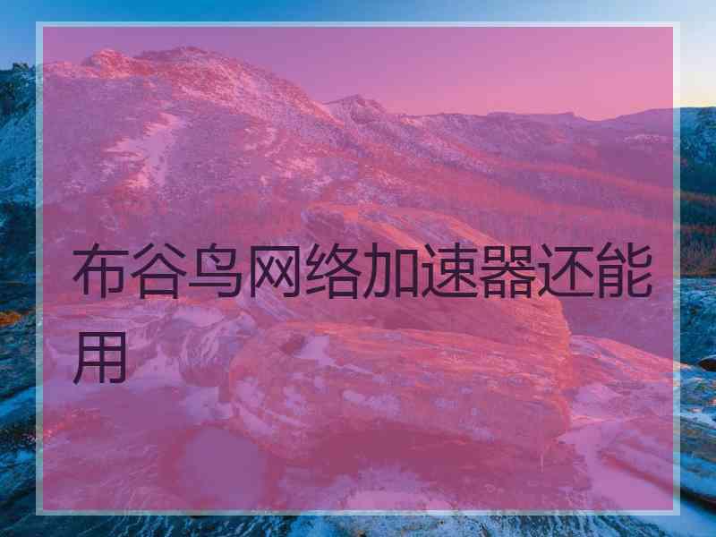布谷鸟网络加速器还能用