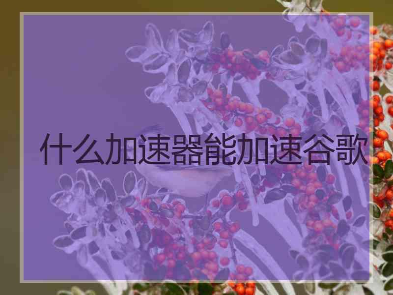 什么加速器能加速谷歌