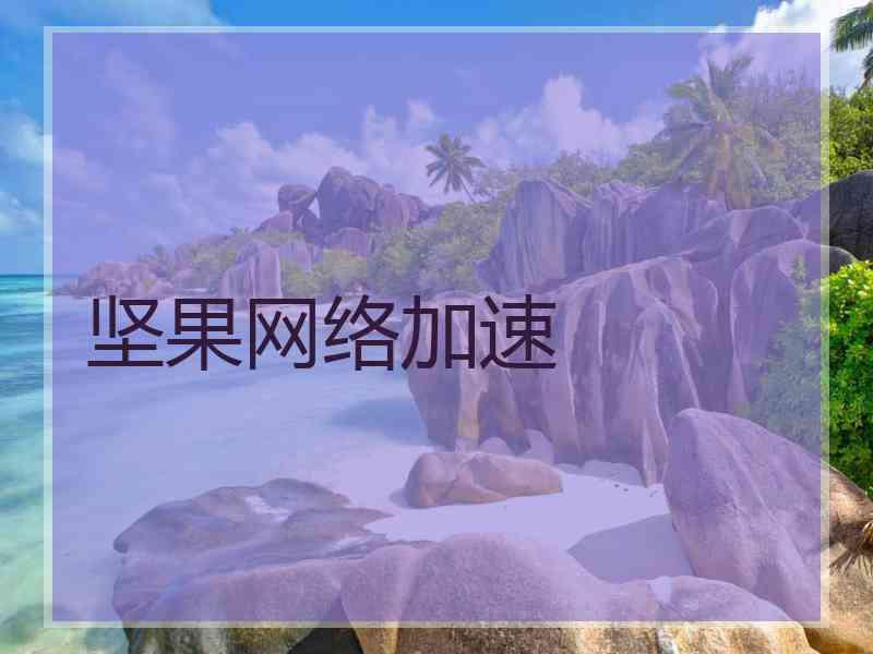 坚果网络加速
