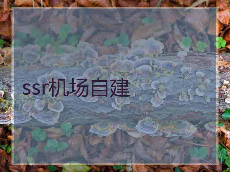 ssr机场自建