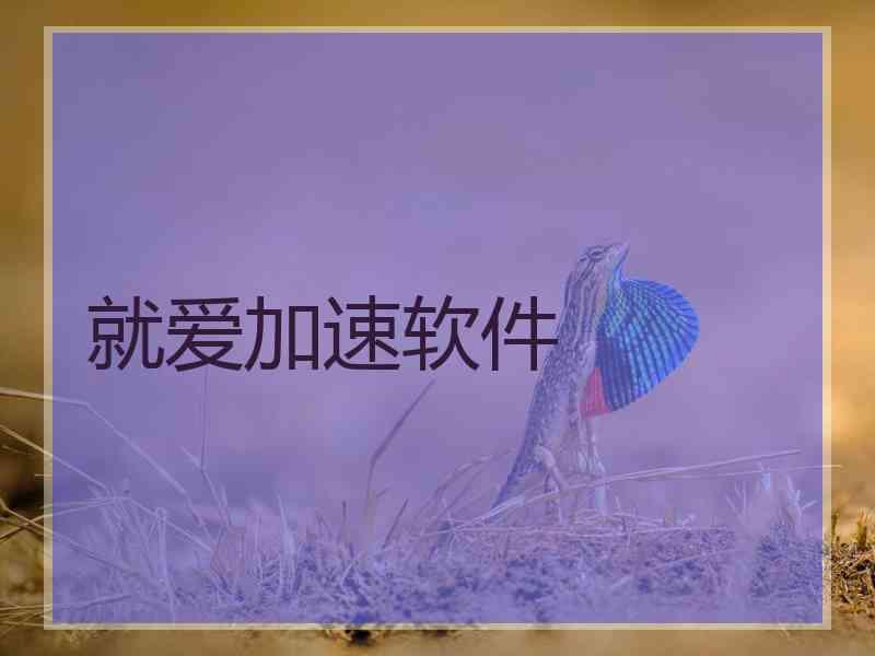 就爱加速软件