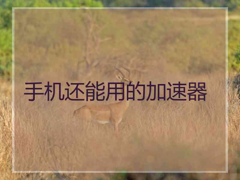 手机还能用的加速器