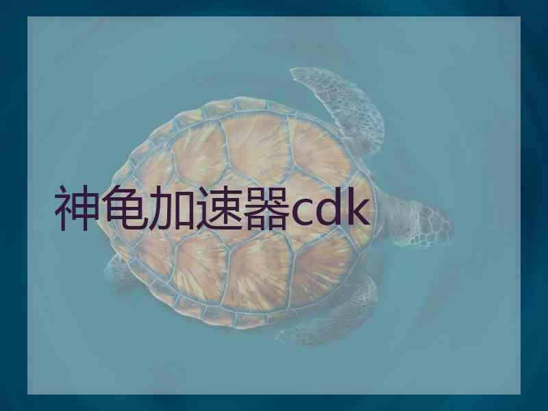 神龟加速器cdk