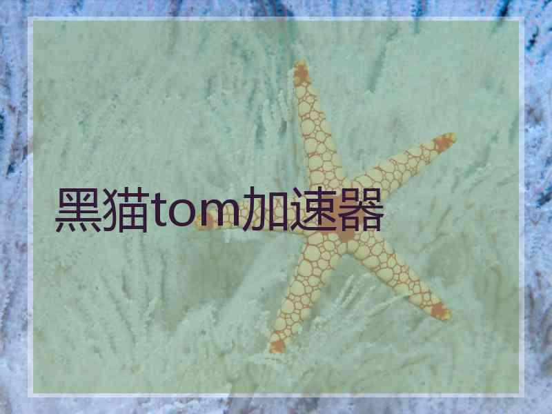 黑猫tom加速器
