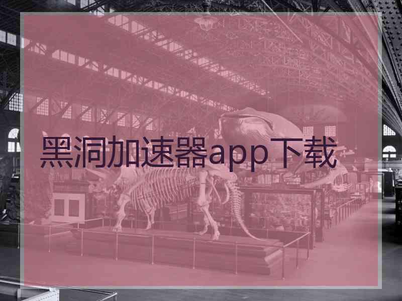 黑洞加速器app下载