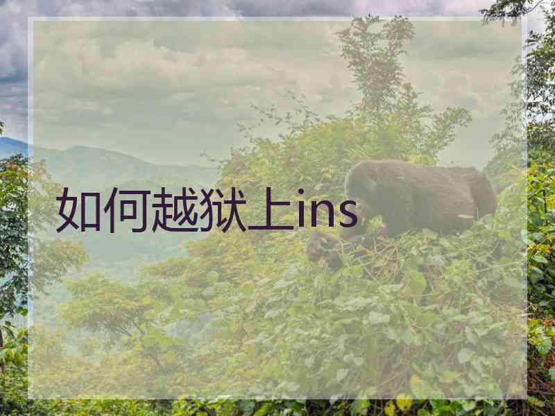如何越狱上ins