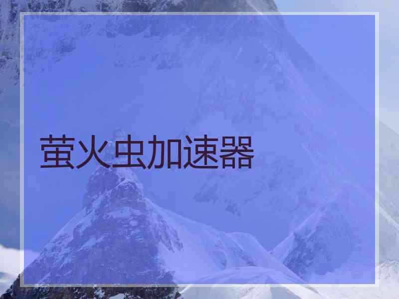 萤火虫加速器