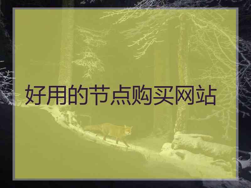好用的节点购买网站
