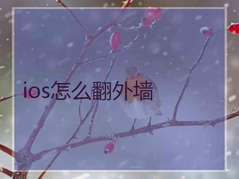 ios怎么翻外墙