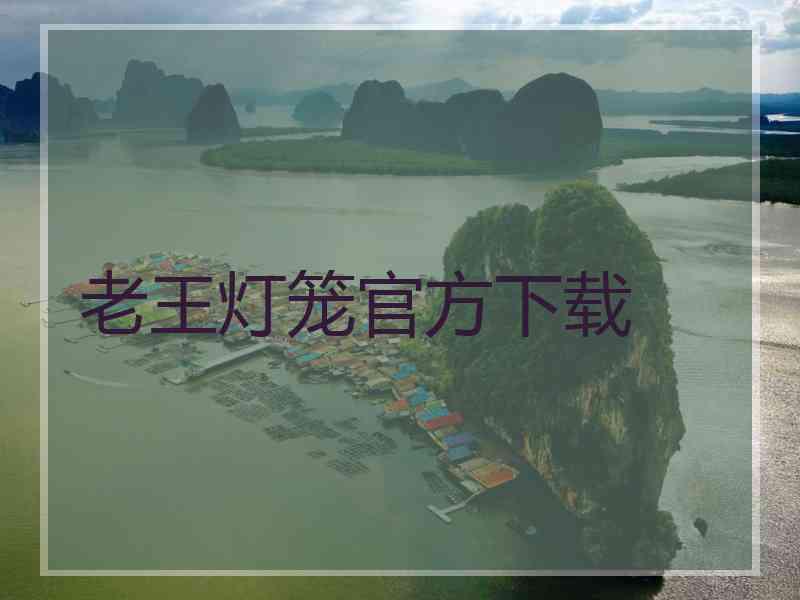 老王灯笼官方下载