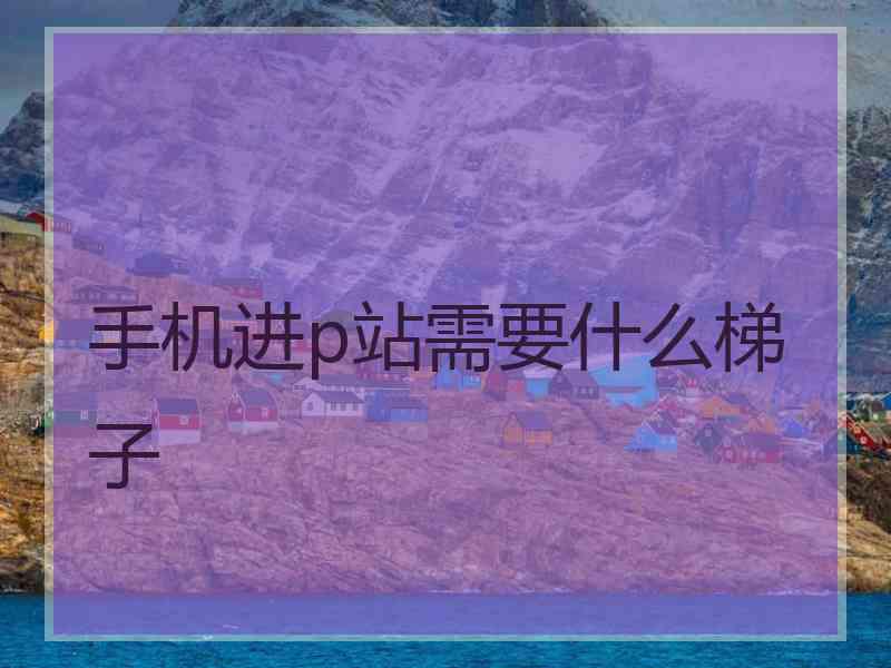 手机进p站需要什么梯子