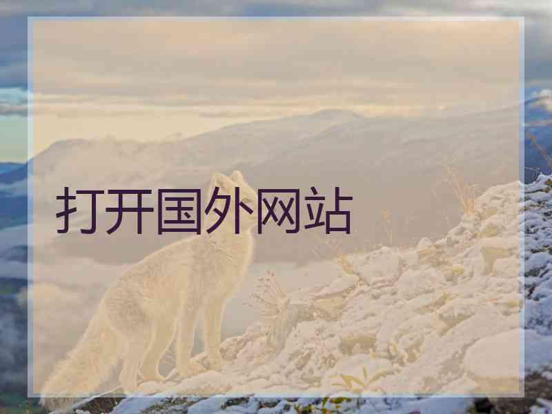打开国外网站