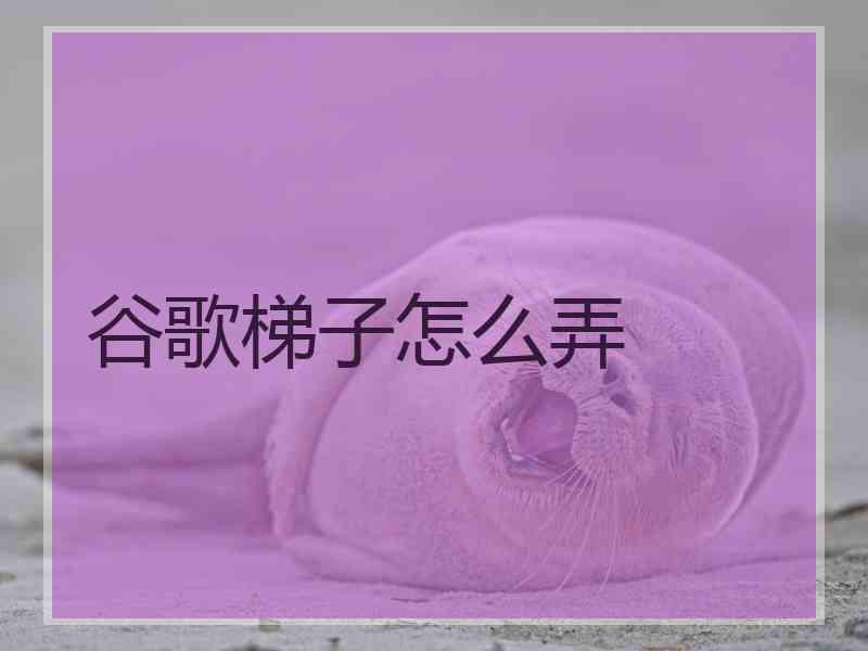 谷歌梯子怎么弄
