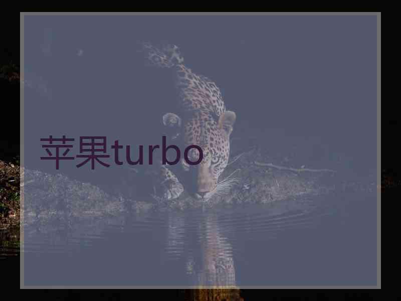 苹果turbo