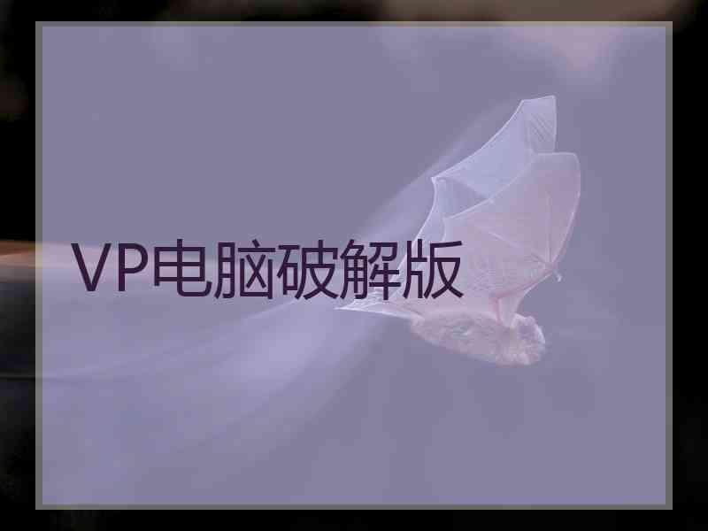 VP电脑破解版