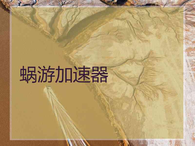 蜗游加速器