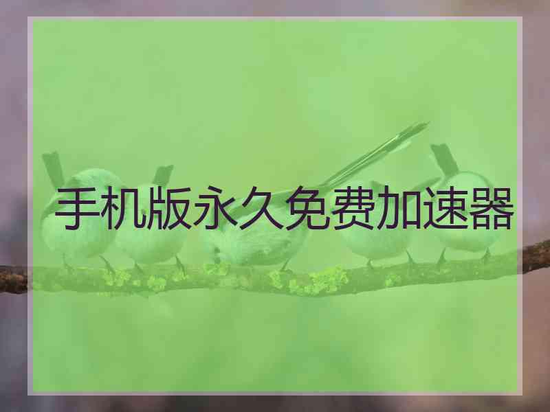 手机版永久免费加速器