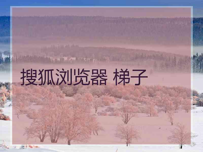 搜狐浏览器 梯子