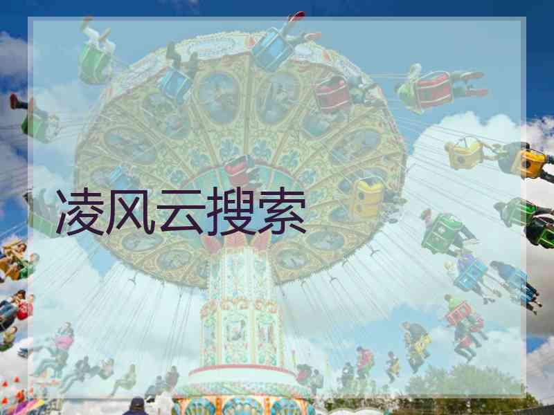 凌风云搜索
