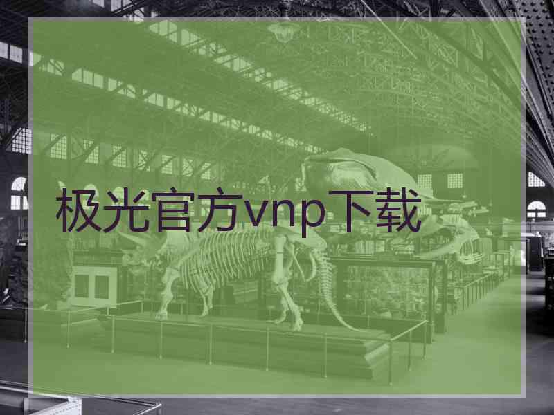 极光官方vnp下载
