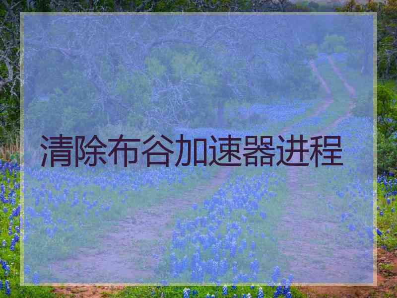 清除布谷加速器进程
