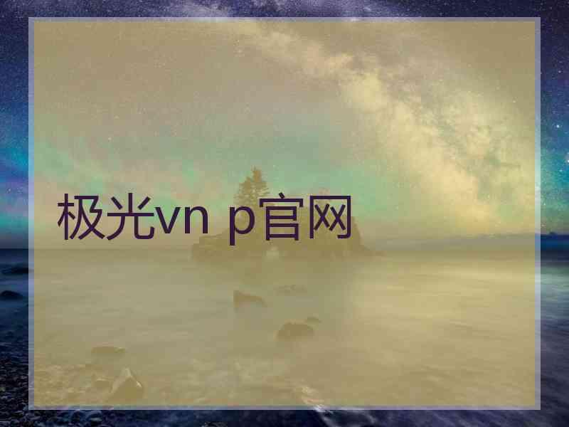 极光vn p官网