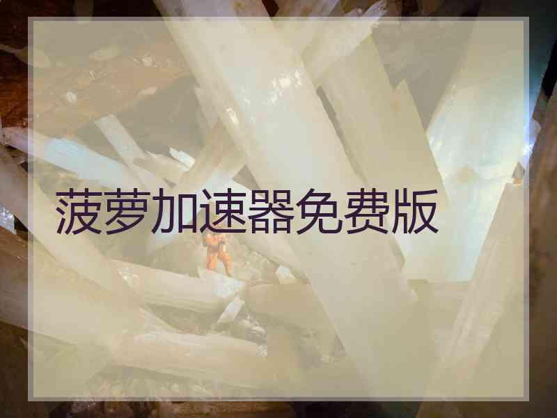 菠萝加速器免费版