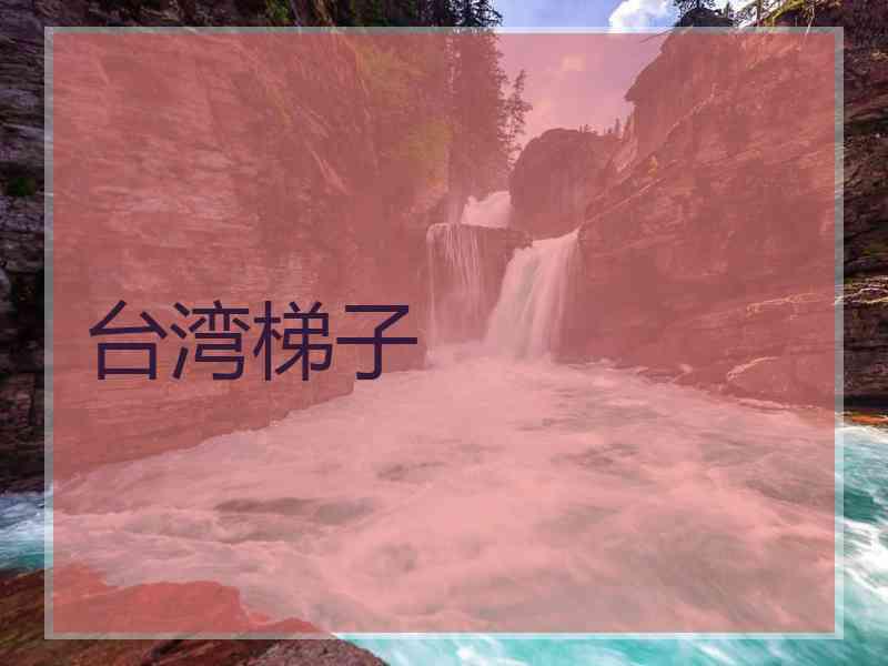 台湾梯子